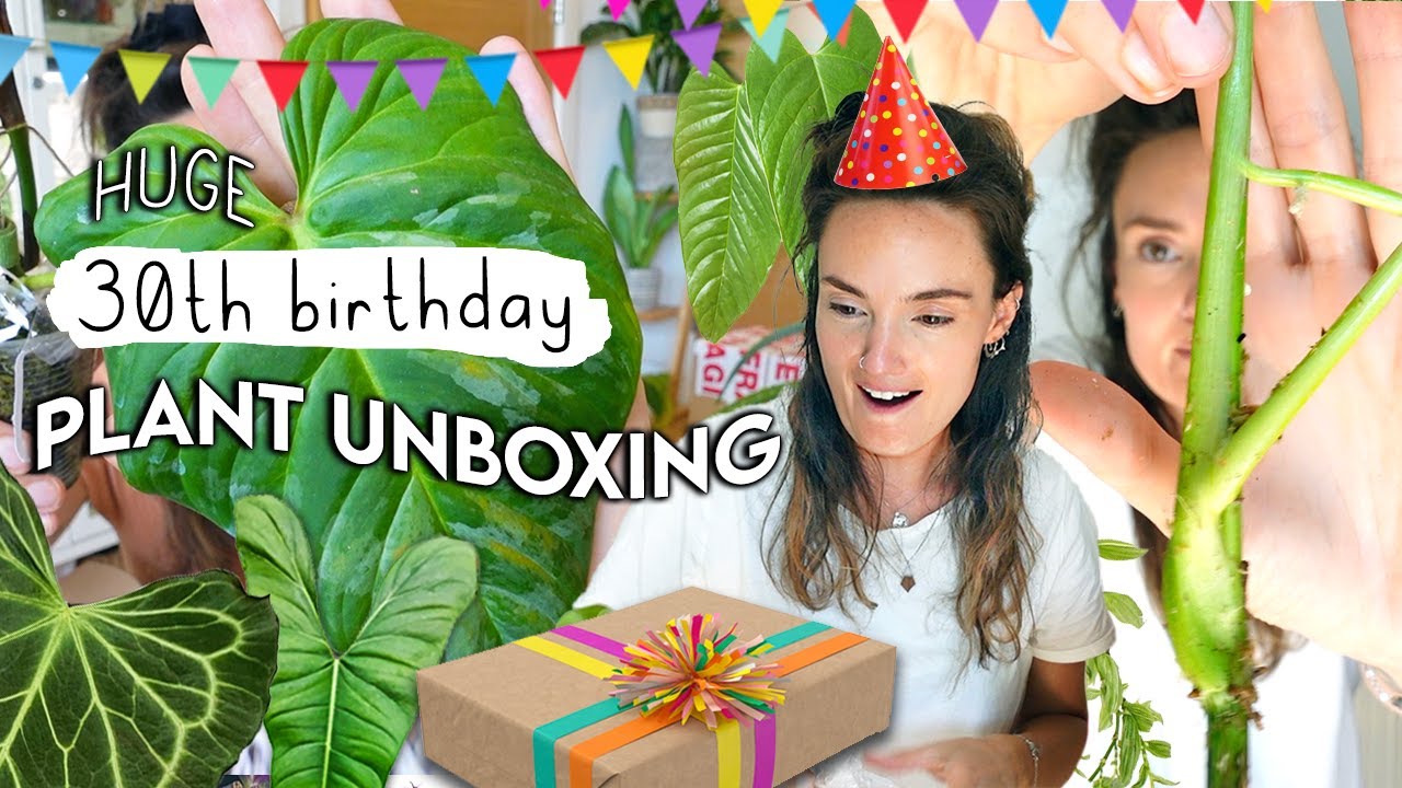 Huge Birthday PLANT HAUL 🥳 Wishlist Plant Unboxing 🌿