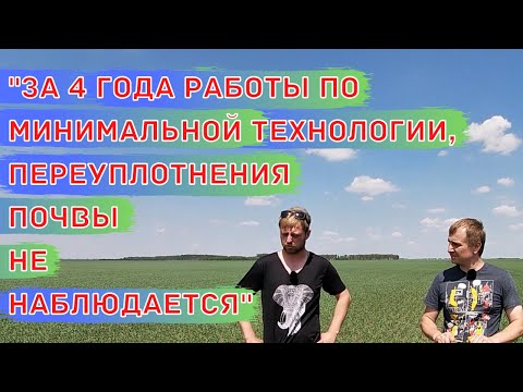 В гостях у
