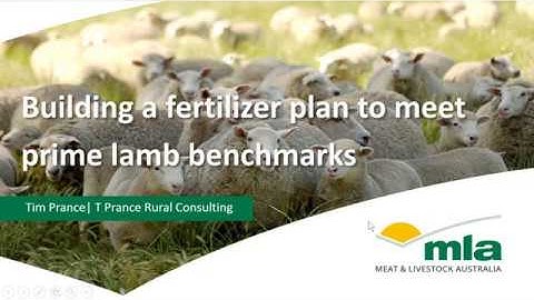 Building a fertiliser program to meet prime lamb production benchmarks