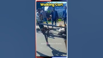 Walking Cart | Robot