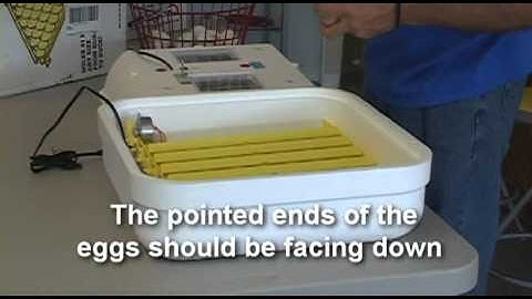 Hovabator (Basic) Assembly Instructions - Cackle Hatchery