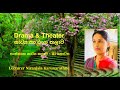 Sanskrutha natya kalawa  drama  theater lesson  07 part 3