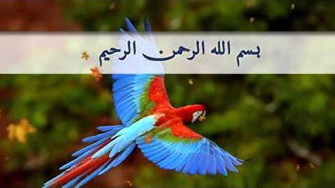 تﻻوة رائع سورة الحديد من آية 20 إلى 29 بصوت الشيخ سعد الغامدي. .زير نويس فارسي
