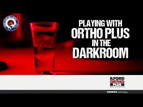 Ilford Ortho Plus