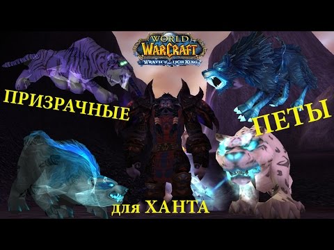 БМ хант -