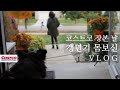 [ENG] 미국일상 /코스트코에서 요즘 사는 품목/ 버섯파니니/ 치즈딥 오이샌드위치/불고기전골 /갱년기몸보신/한국에 계신 엄마에게 VLOG