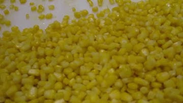 Corn sorting machine Genius - TOMRA Sorting