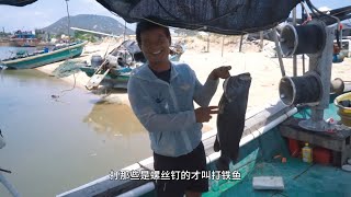 Download Lagu 老四出海抓到大货,拿去找阿壮锅合菜,阿壮竟准备了这么多菜 MP3 Download Lagu 老四出海抓到大货,拿去找阿壮锅合菜,阿壮竟准备了这么多菜 MP3