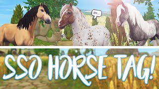 The Star Stable HORSE TAG! | Star Stable Updates
