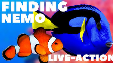 Finding Nemo live-action trailer | 2019