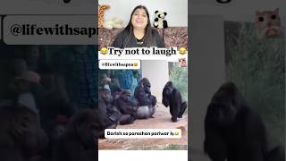 Launde ko निमोनिया 🦍#funnyvideo #funny #comedy #reaction #funnyshorts #wildlife #pets #memes #cat