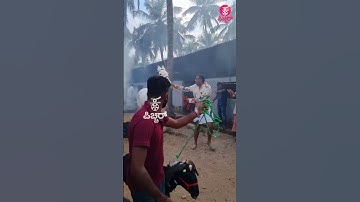 Dinakar Thoogudeepa & Darshan Sankranti Celebration At Mysore | Darshan | D Boss