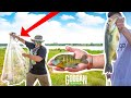 Fishing with LIVE BLUEGILLS to Catch GIANT BASS!!! (Cast Net Challenge)