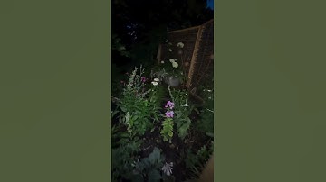 The Best String Light Hanging Kit for Outdoor Spaces