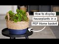 How to display houseplants in a pep home basket