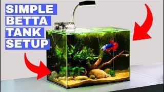 Building a Simple Betta Tank: TUTORIAL by Regis Aquatics 1,512,451 views 4 years ago 11 minutes, 9 seconds