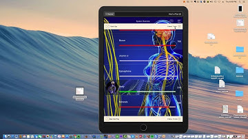Genius Insight - Getting Started