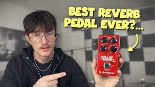 Is This The Best Reverb Pedal Ever?... (hall Of Fame 2)