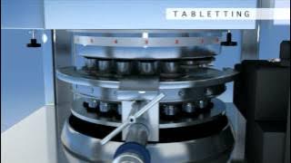 Manufacturing process of a medicinal product at Cinfa