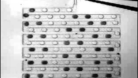 ARAbate, picoinjection pattern
