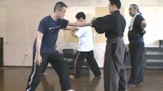游心流武術健身法 | DVD