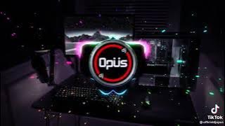 DJ Opus Tiktok