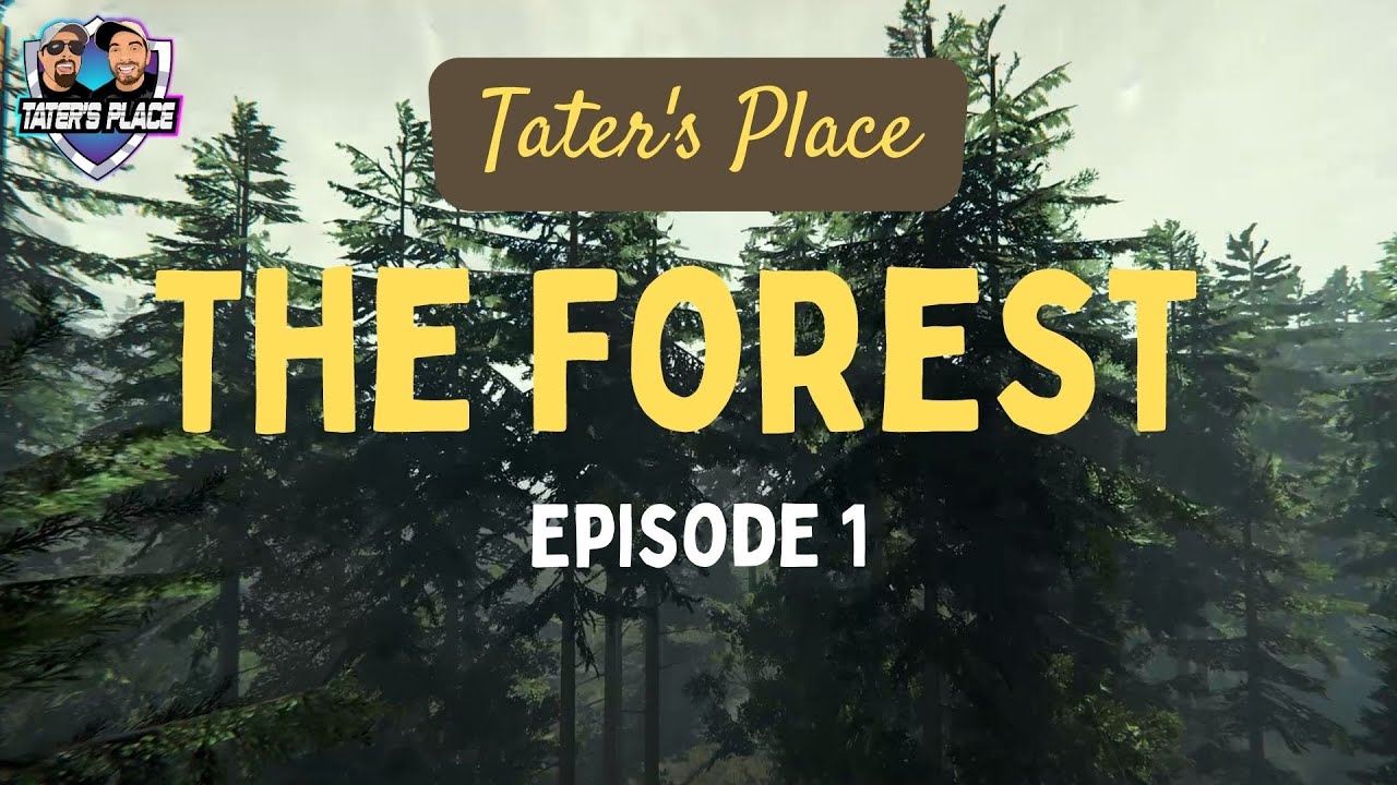 The Forest - Two Ninnies try to Find Timmy - YouTube