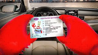 видео: КАК Я СДАЛ НА ПРАВА В 17 ЛЕТ С 1-ГО РАЗА? История из жизни. картинка: КАК Я СДАЛ НА ПРАВА В 17 ЛЕТ С 1-ГО РАЗА? История из жизни.