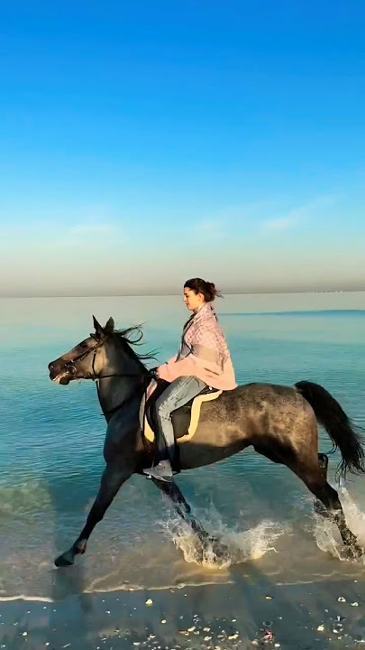 Wa Ye Woy - Girl and Horse 🐎 🥹 #shorts #trending #youtubeshorts #viralvideo #foryou #girl #short