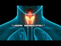 Amigdalitis: Cómo Aliviarla con Este Sencillo Remedio Caser