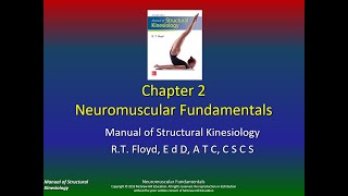 Structural Kinesiology Chapter 2, P3