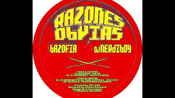 DJ Nerdiboy & DJ Take Control - Stay Fly