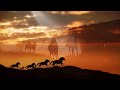 RedFlame - The Wild West (Дикий Запад)