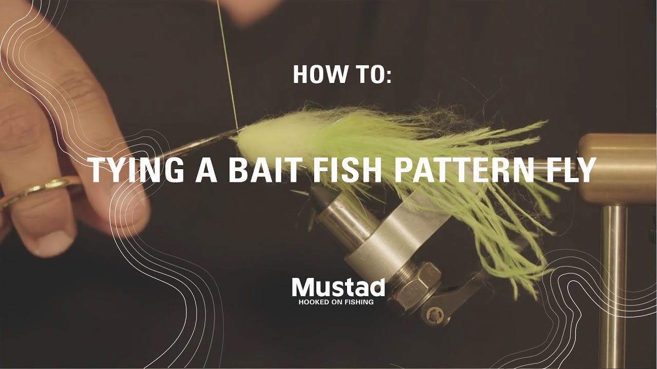 How to Tie a Bait Fish Pattern Fly Mustad Fishing YouTube