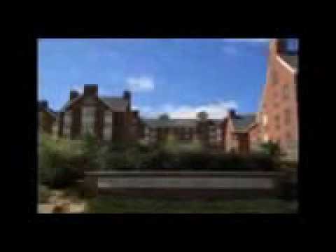 University of Washington Online Degree University of Washington Online Degree