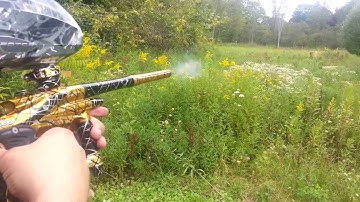 Custom Splash Ego 11 -Gold Black and Silver