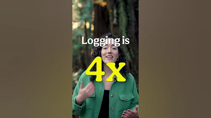 The shocking truth about B.C. Forests