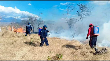 ¿Se puede cortar la hierba seca?