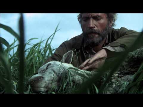 Phase IV - Full online