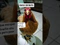 retrasado del mes expresa su experiencia