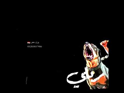 حموالطيخا ومودي أمين وافجر حالة طرش ميت معنديش قلب اشترك في القناة ليصلك كل ما هو طررش 