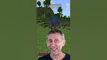 Every Wandering Trader in a Nutshell