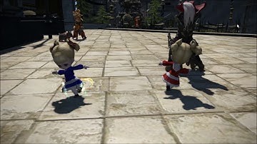 FFXIV Brina and Calca minion interaction dance.