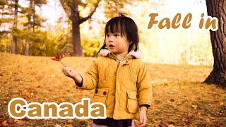 Fall in Canada/ kids playing in the park/ Chloe Vlogs