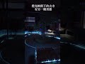#京都#建仁寺夜間參拜#京都観光