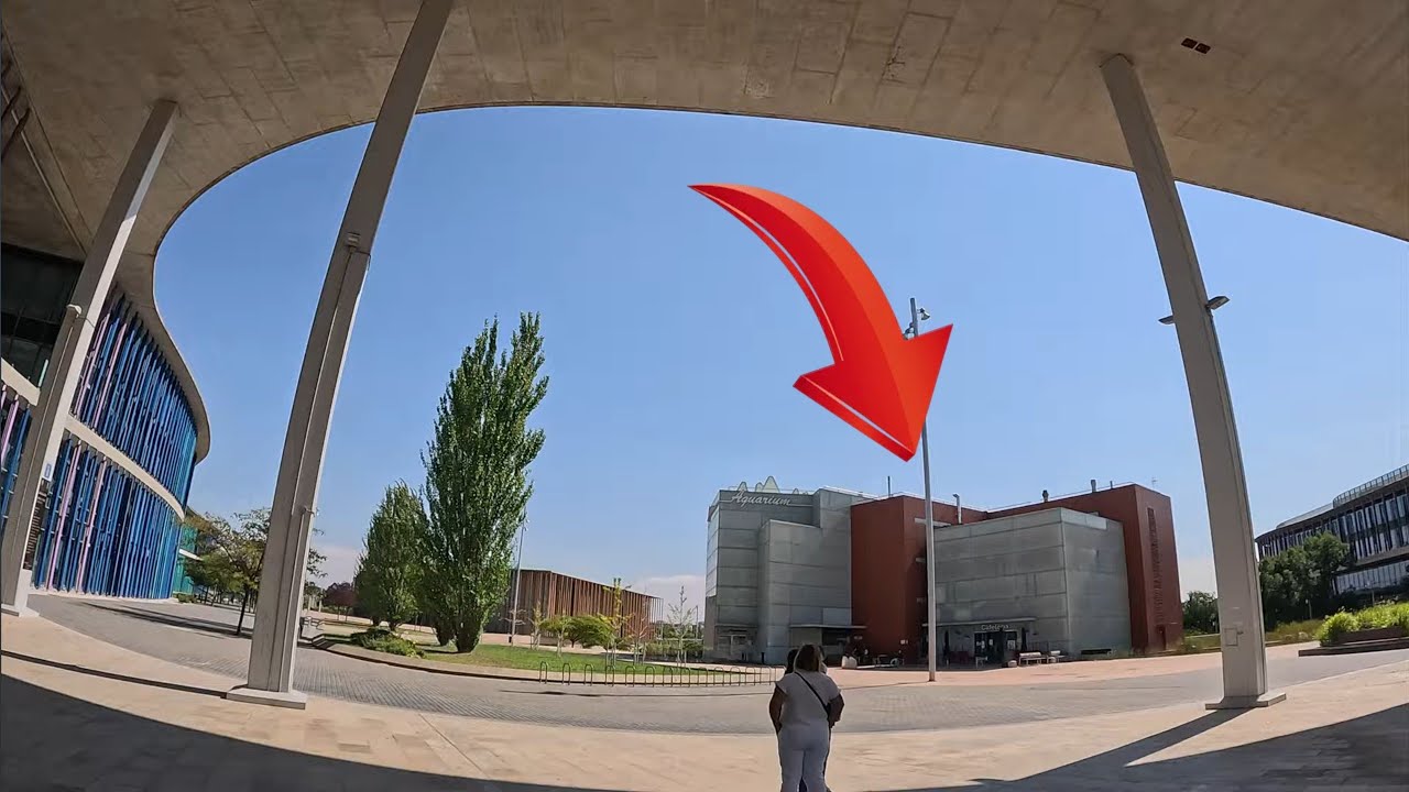 ÉSTO ES LO QUE HAY EN  EL ACUARIO FLUVIAL DE ZARAGOZA 