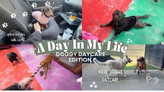 Day in my life ( VIRAL DOGGY DAYCARE EDITION)!!!!