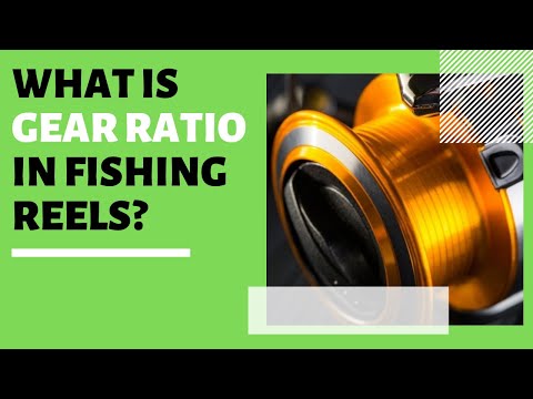 What is Gear Ratio in Fishing Reels? [Explained] 