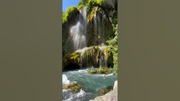 آيات من القرآن الكريم بصوت الشيخ المنشاوي #القرآن_الكريم #اكسبلور #المصحف #duet #يوم_الجمعة