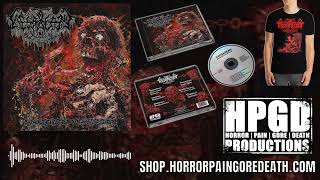 Caesarean - Submerged In Insecticide (from Wretched Decrepitude on Horror Pain Gore Death / HPGD)